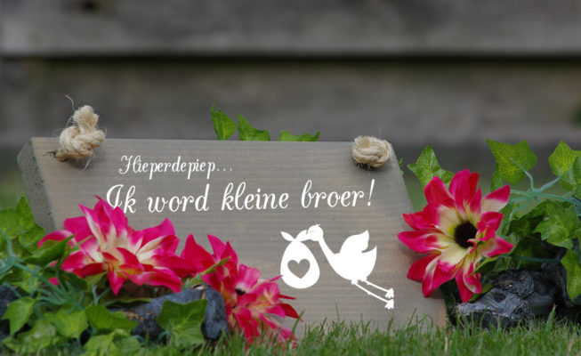 hieperdepiep - ik word kleine broer